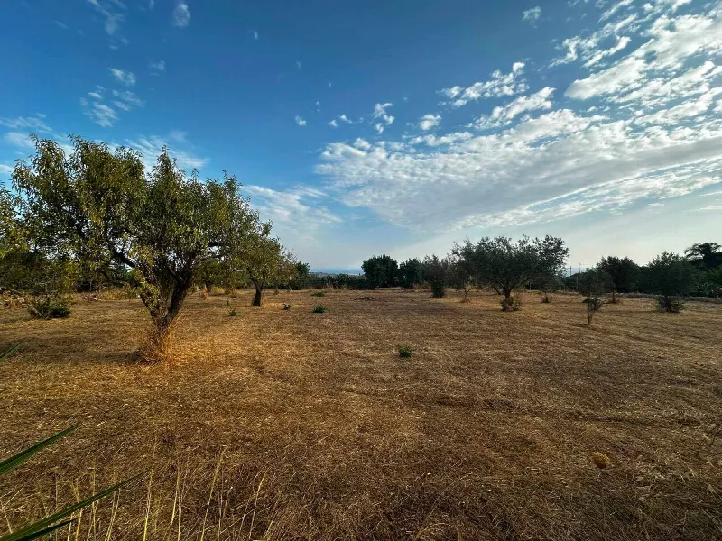 Rustico/Casale in vendita a Scicli - foto 8