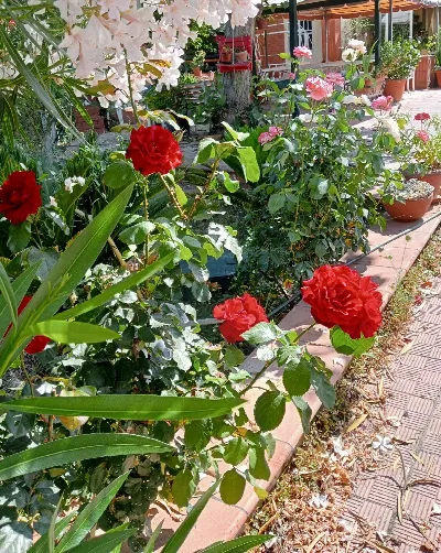 Villa in vendita a Caltagirone - foto 4