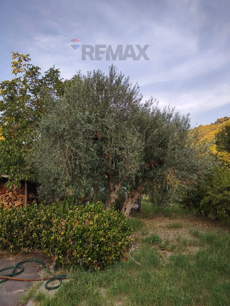 Villa in vendita a Piazza Armerina - foto 3
