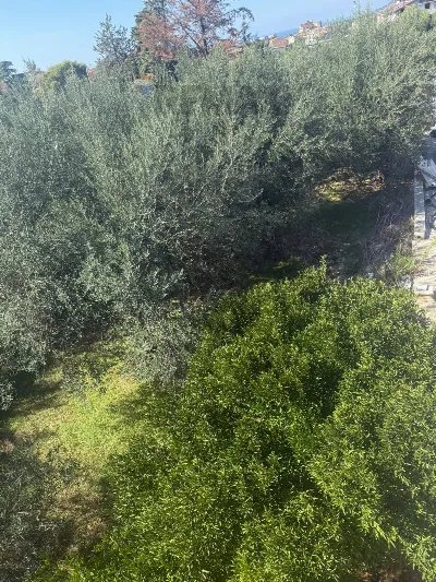 Appartamento in vendita a Borgetto - foto 3
