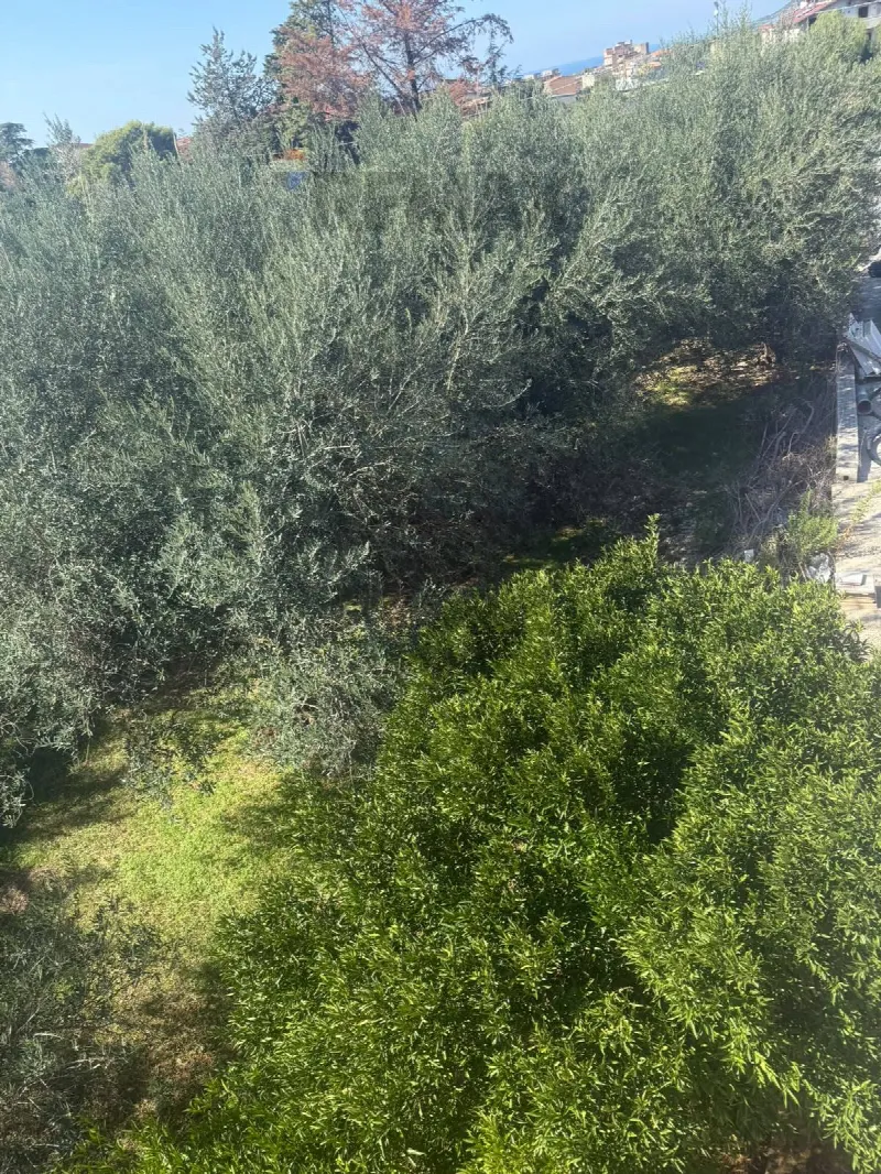 Appartamento in vendita a Borgetto - foto 3