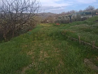 Villa in vendita a Arezzo, Agazzi, santa f... - foto 7