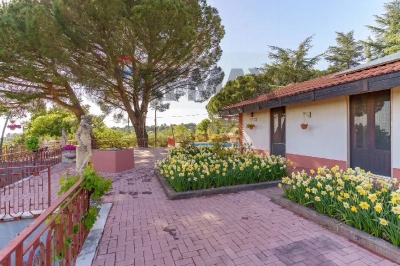 Villa in vendita a Biancavilla - foto 10