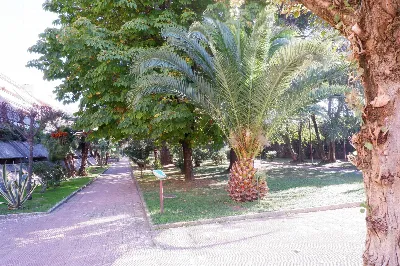 Appartamento in vendita a Caserta, Centro - foto 1