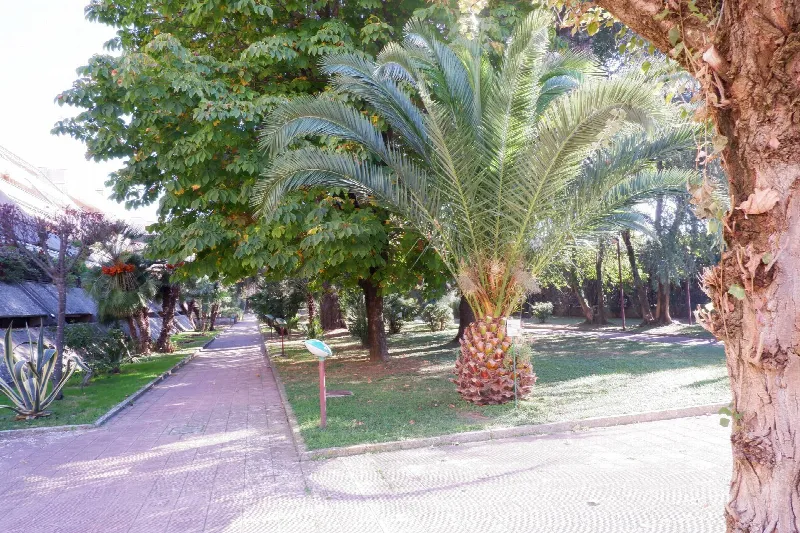 Appartamento in vendita a Caserta, Centro - foto 1