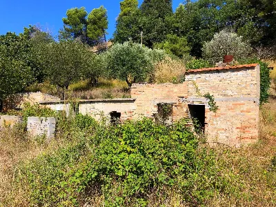 Rustico/Casale in vendita a Grottammare - foto 5