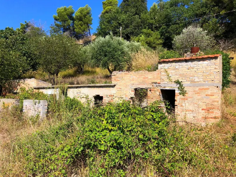 Rustico/Casale in vendita a Grottammare - foto 5