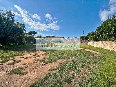Casa Indipendente in vendita a Massa, Puli... - foto 7