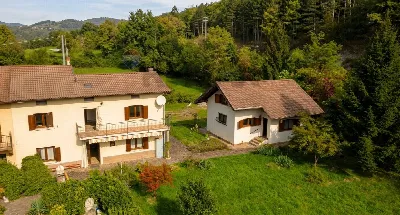 Casa Indipendente in vendita a Moggio Udin... - foto 1