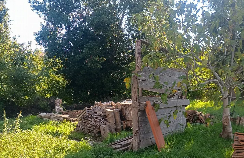 Rustico/Casale in vendita a Fauglia - foto 10