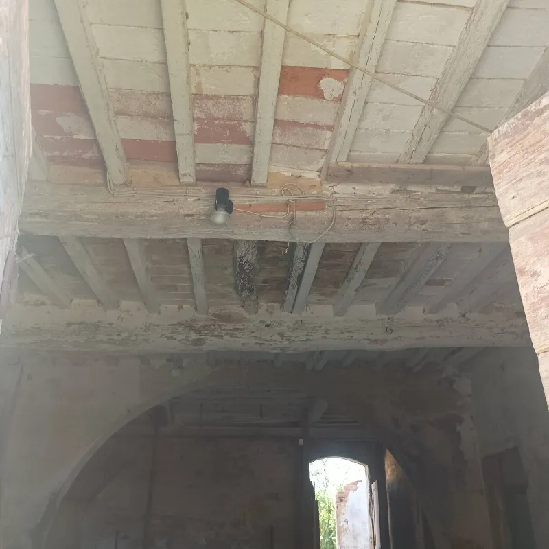 Rustico/Casale in vendita a Fauglia - foto 9