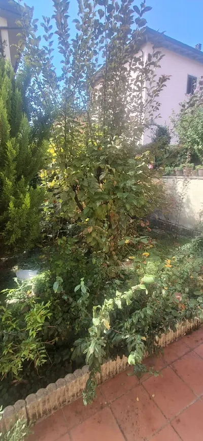Villa in vendita a Bibbiena - foto 3