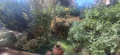 Villa in vendita a Bibbiena - foto 5