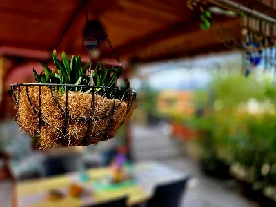 Appartamento in vendita a Rende - foto 1