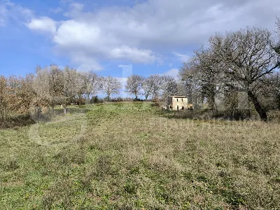Rustico/Casale in vendita a Gallese - foto 1