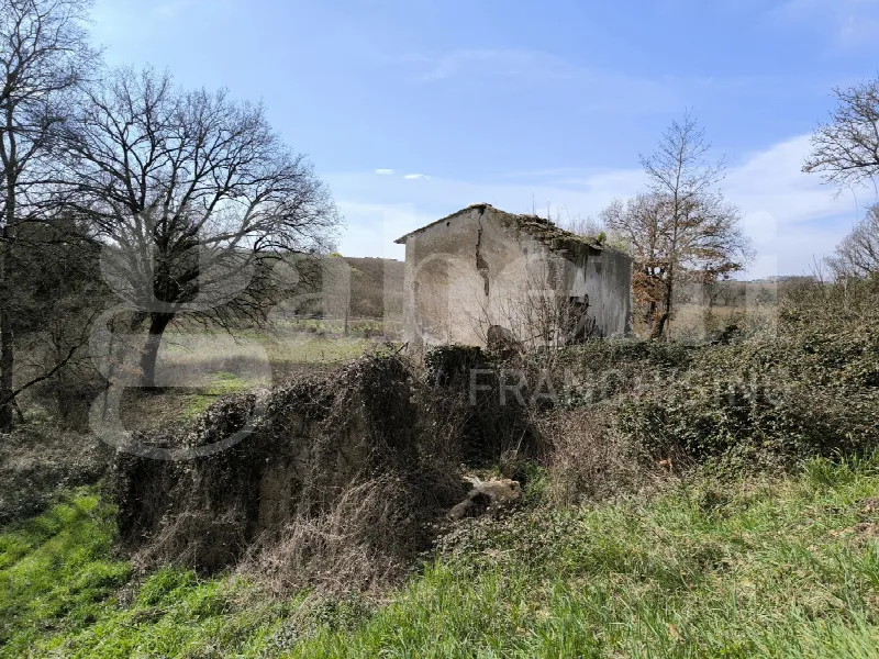 Rustico/Casale in vendita a Gallese - foto 10