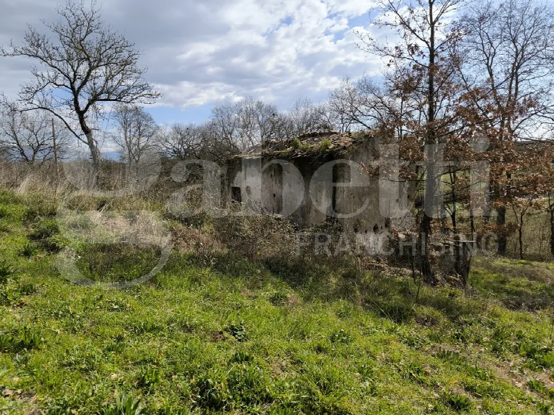 Rustico/Casale in vendita a Gallese - foto 2