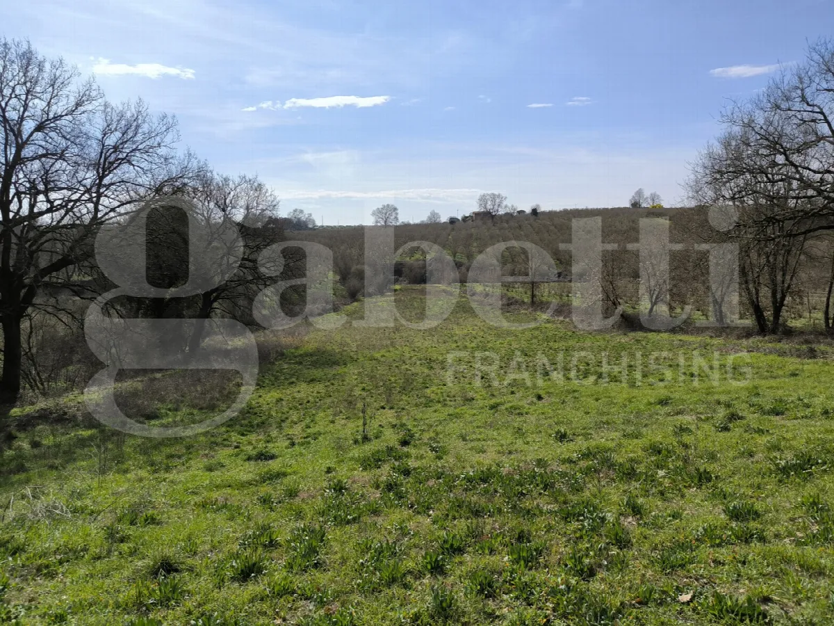 Rustico/Casale in vendita a Gallese - foto 3