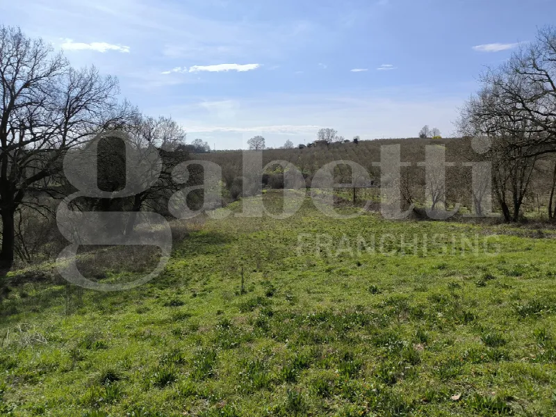 Rustico/Casale in vendita a Gallese - foto 3