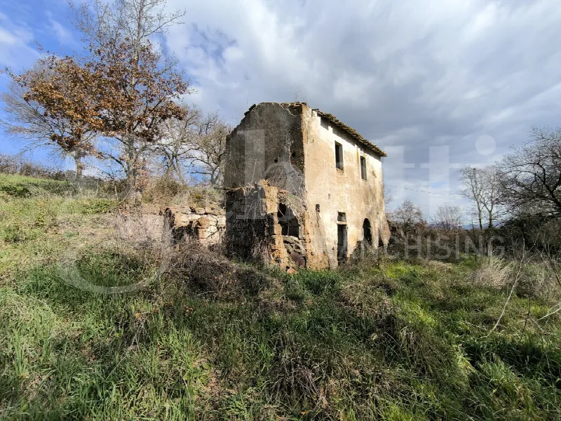 Rustico/Casale in vendita a Gallese - foto 4