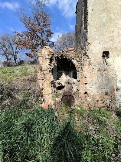 Rustico/Casale in vendita a Gallese - foto 6