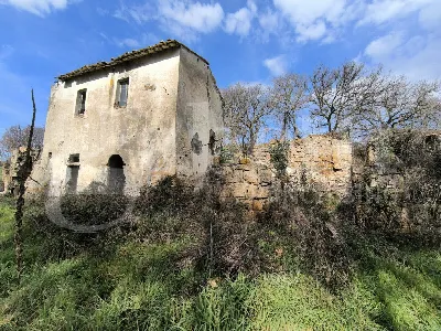 Rustico/Casale in vendita a Gallese - foto 8
