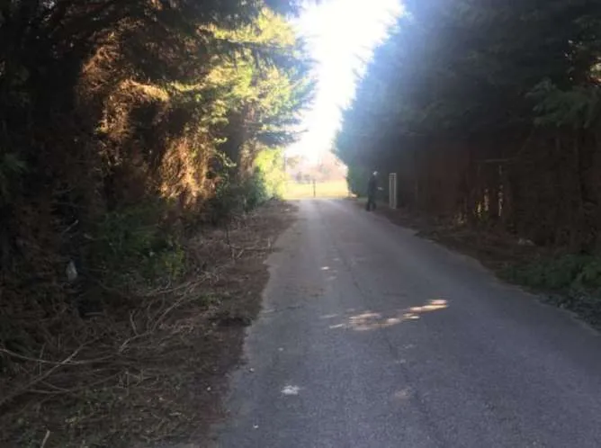 Appartamento in vendita a Campolongo Maggiore - foto 4