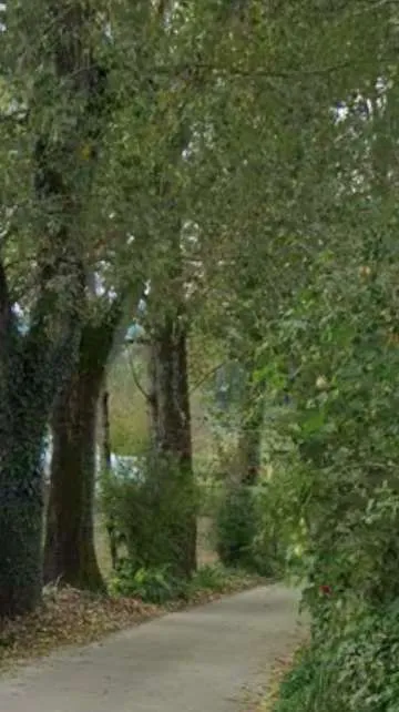 Casa Indipendente in vendita a Olevano Romano - foto 5