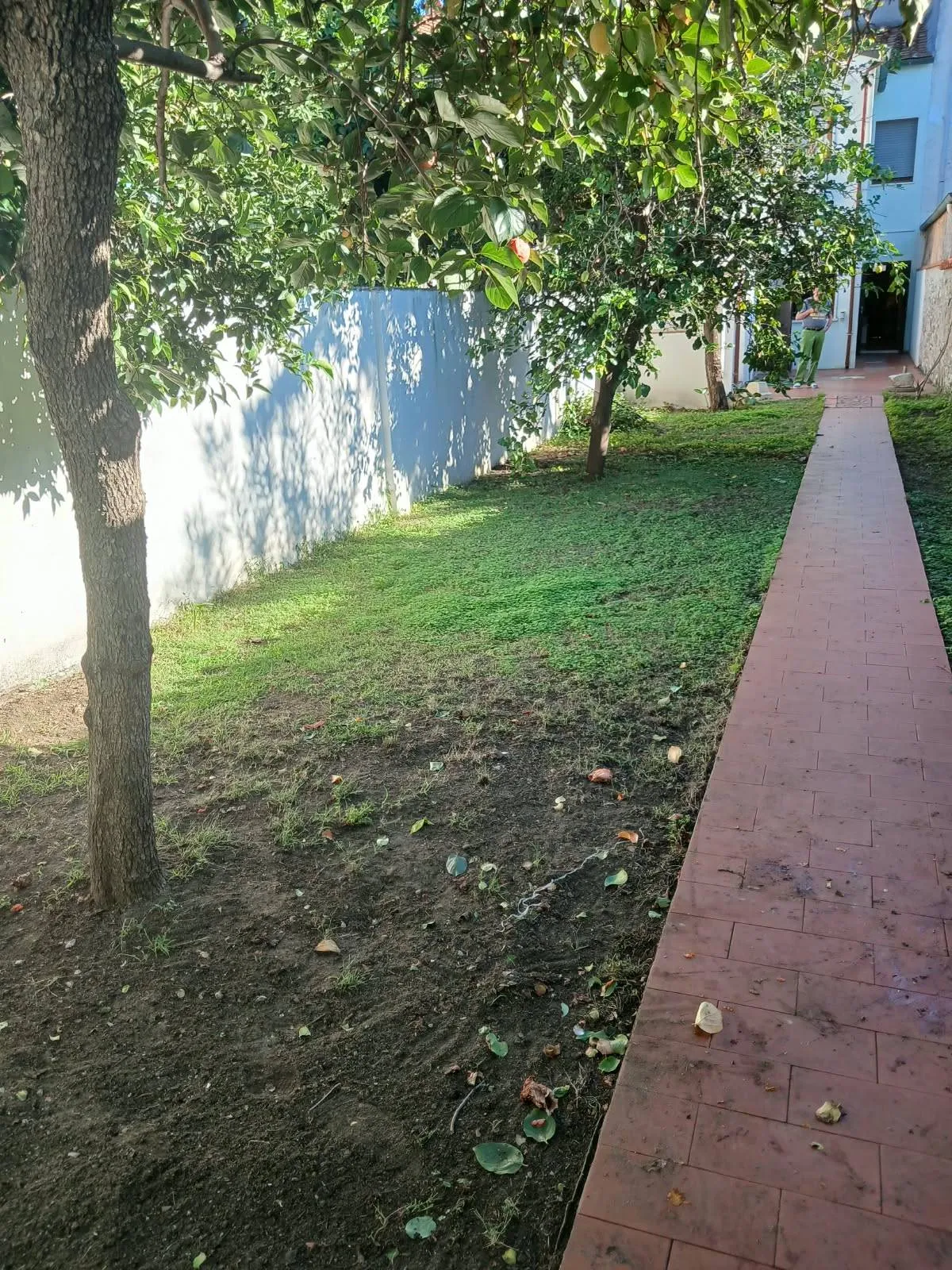 Casa Indipendente in vendita a Viareggio - foto 2
