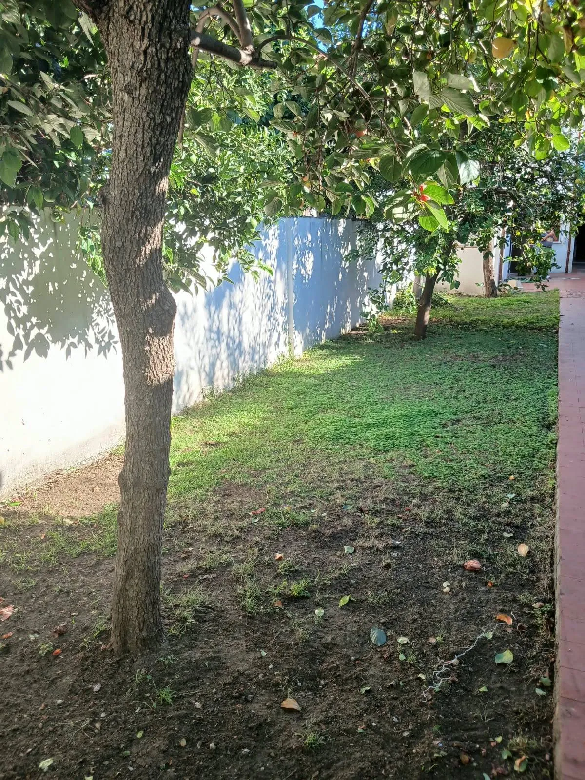 Casa Indipendente in vendita a Viareggio - foto 3