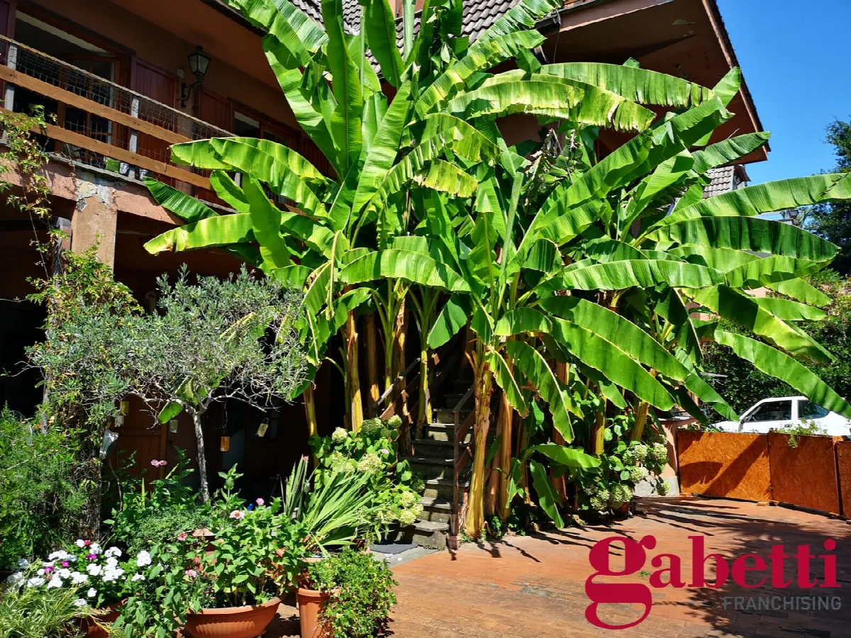 Casa Indipendente in vendita a Formello - foto 5