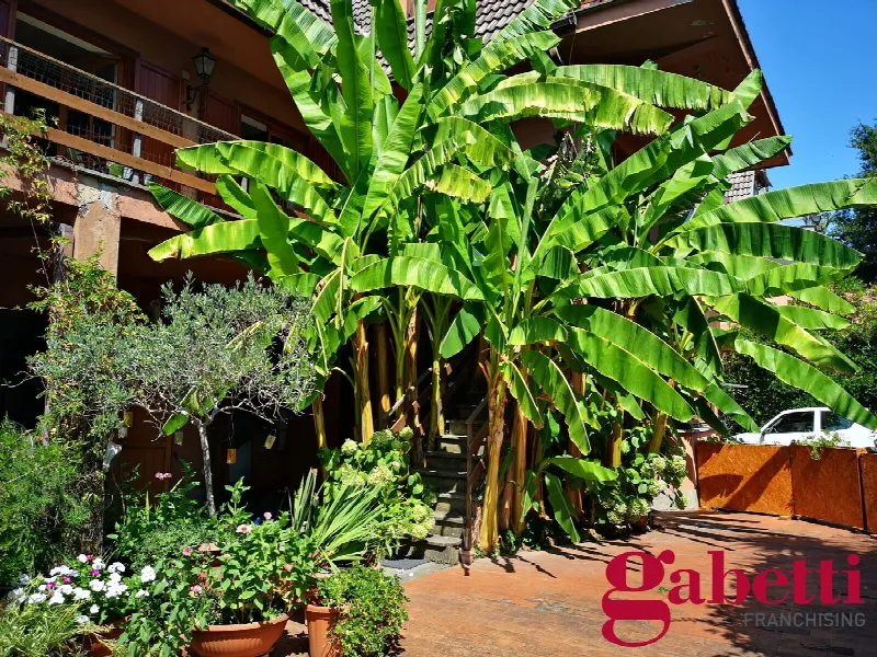 Casa Indipendente in vendita a Formello - foto 5