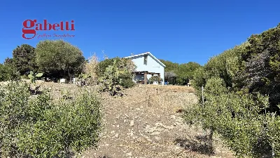 Villa in vendita a Santa Teresa Gallura - foto 6