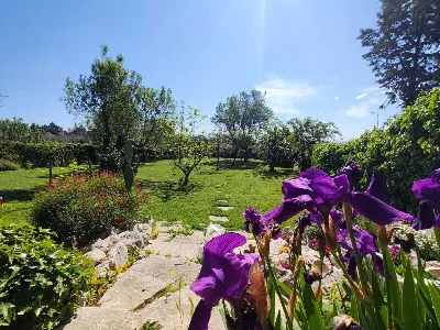 Villetta a schiera in vendita a Amelia - foto 8