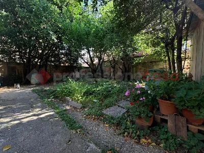 Casa Indipendente in vendita a Prato, Mezz... - foto 3