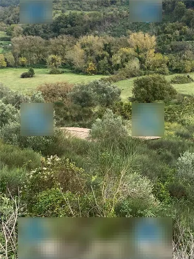 Appartamento in vendita a Civitella San Pa... - foto 3