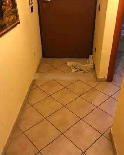 Appartamento in vendita a Guidonia Montece... - foto 7