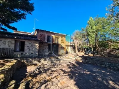Rustico/Casale in vendita a Castelnuovo Be... - foto 3