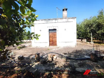 Rustico/Casale in vendita a Carovigno - foto 4