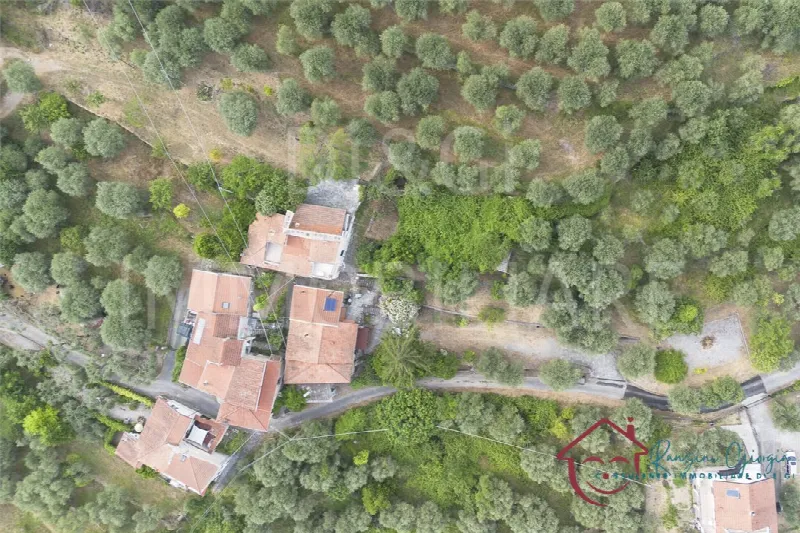 Rustico/Casale in vendita a Ranzo - foto 3
