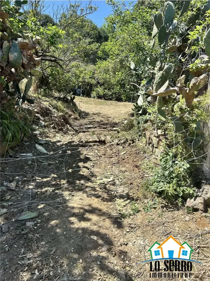 Rustico/Casale in vendita a Alcamo - foto 3
