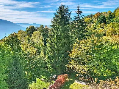 Appartamento in vendita a Villa Lagarina - foto 6