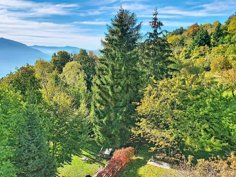 Appartamento in vendita a Villa Lagarina - foto 6