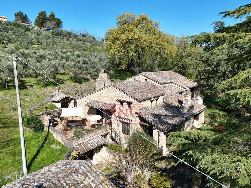 Rustico/Casale in vendita a Falerone - foto 3