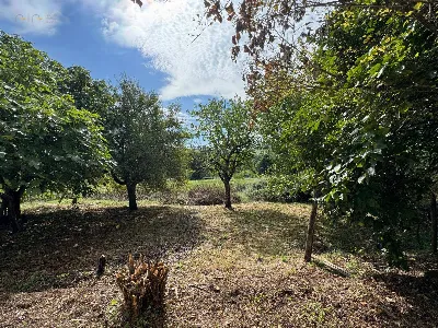 Appartamento in vendita ad Amandola - foto 7