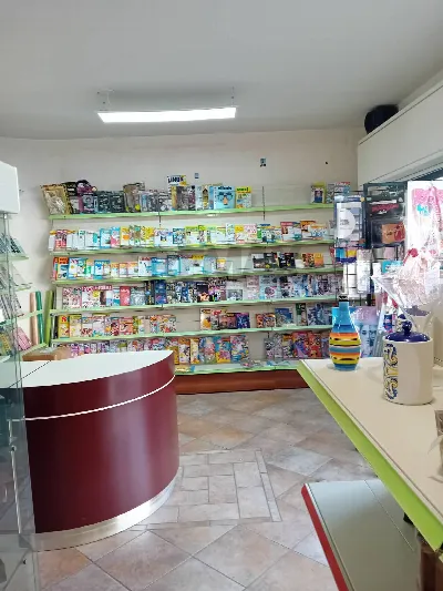 Appartamento in vendita a Castel di Iudica - foto 2
