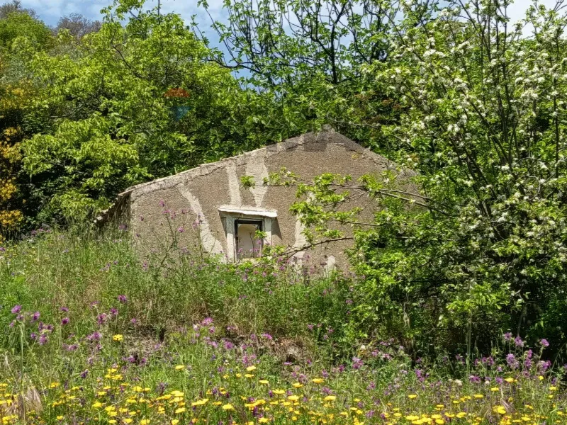 Rustico/Casale in vendita a Graniti - foto 1