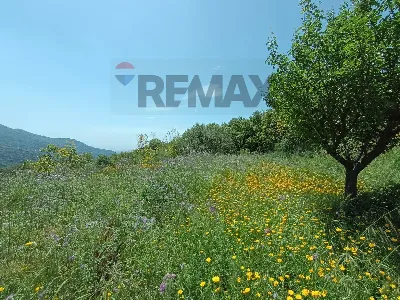 Rustico/Casale in vendita a Graniti - foto 7