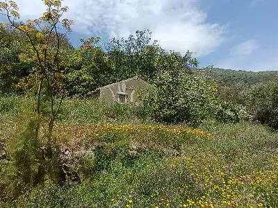Rustico/Casale in vendita a Graniti - foto 9