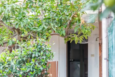 Appartamento in vendita a Montalto di Cast... - foto 5